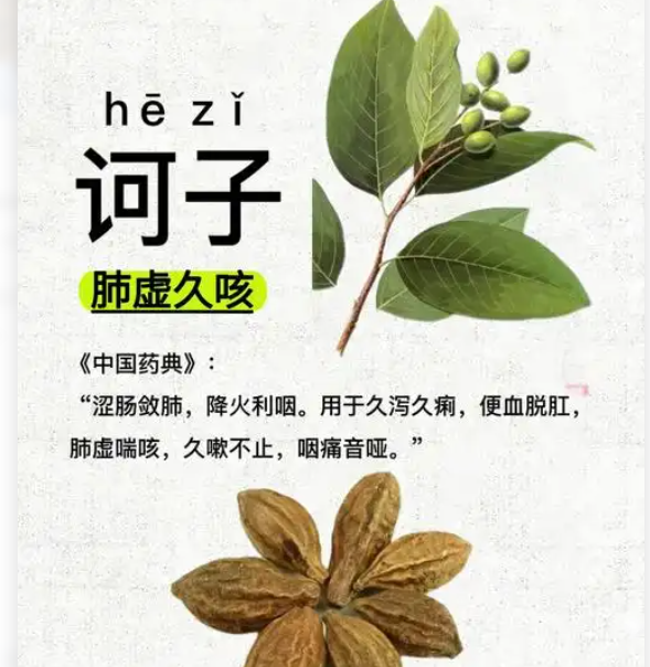 <strong>天津港柯子进口报关代理清关</strong>