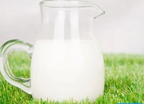 <b>巴基斯坦乳品进口报关检疫要</b>